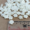 20 - 65pcs bahan craft putik mawar mutiara