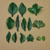 9pcs - 100pcs daun akrilik hijau