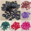 85pcs bahan craft kerang kecil bening
