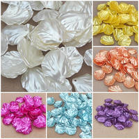 24pcs kerang tanggung mutiara