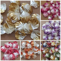 25pcs kerang tanggung mutiara gradasi